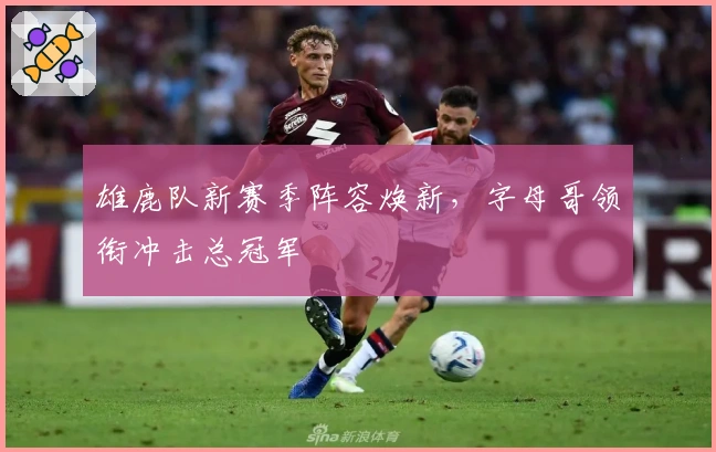 雄鹿队新赛季阵容焕新,字母哥领衔冲击总冠军