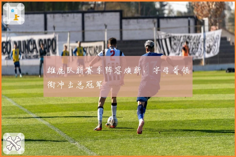 雄鹿队新赛季阵容焕新，字母哥领衔冲击总冠军